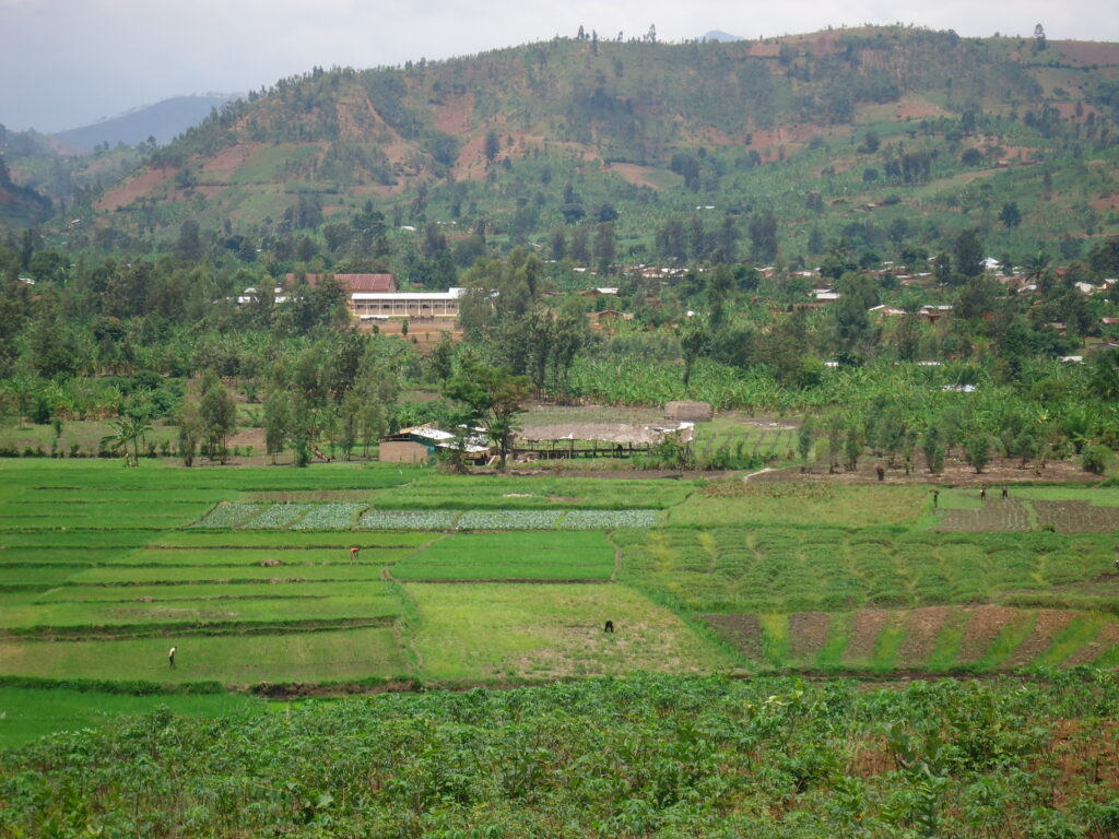 philea burundi paysage