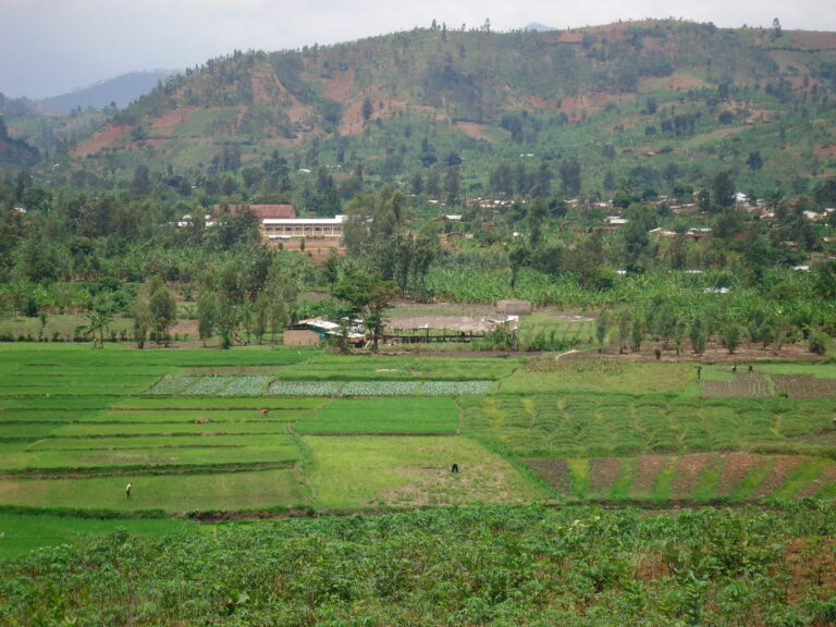 philea burundi paysage