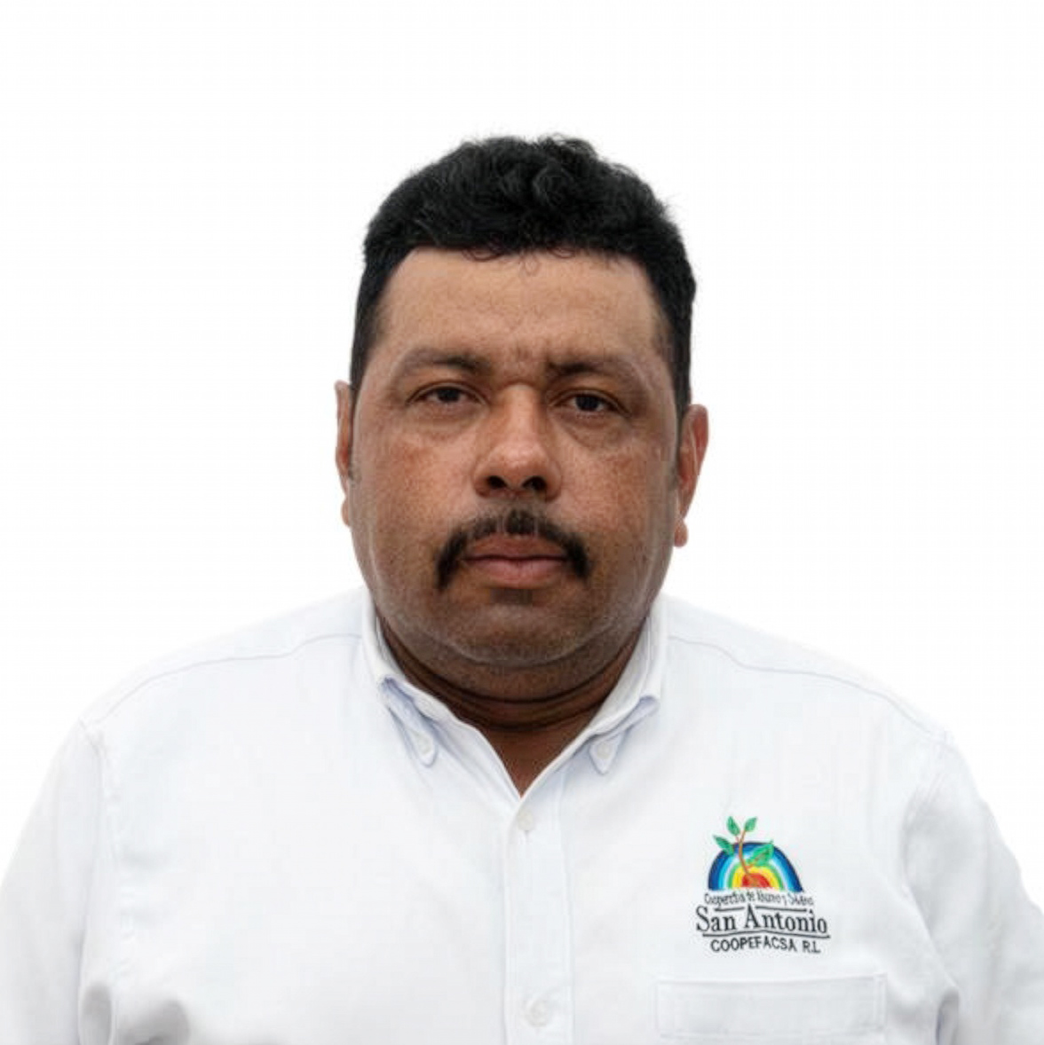 philea pedro joaquín castillo am